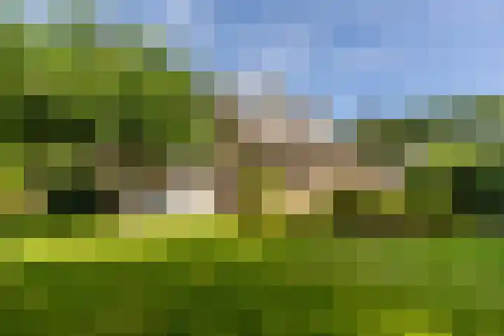 Catharinastraat 11 Helvoirt thumbnail 37