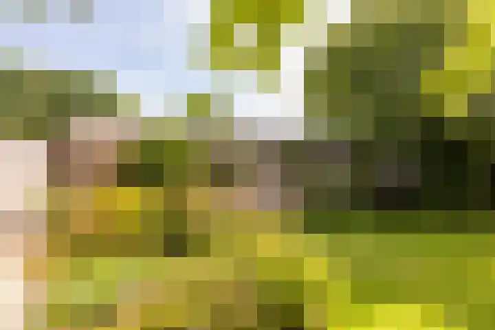 Catharinastraat 11 Helvoirt thumbnail 38