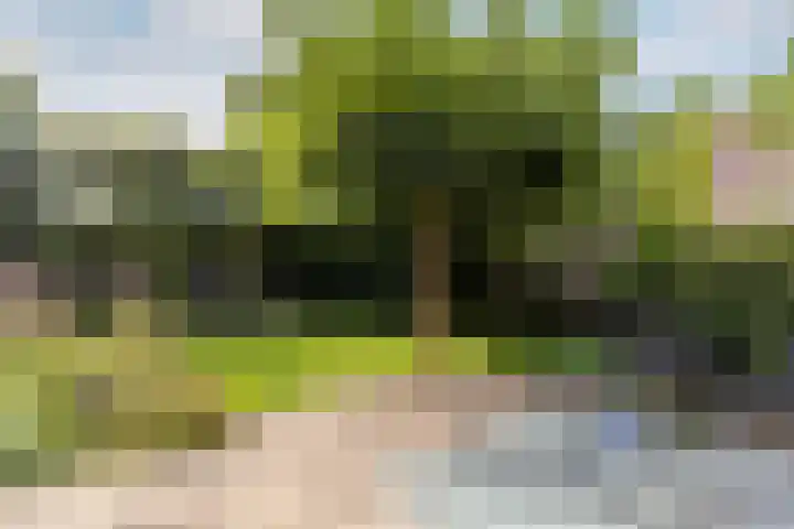 Catharinastraat 11 Helvoirt thumbnail 39