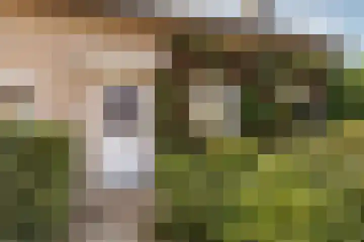 Catharinastraat 11 Helvoirt thumbnail 43