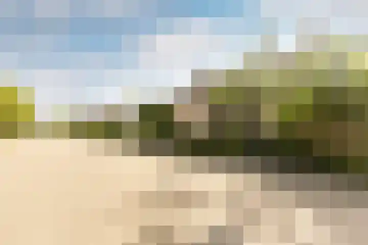 Catharinastraat 11 Helvoirt thumbnail 45