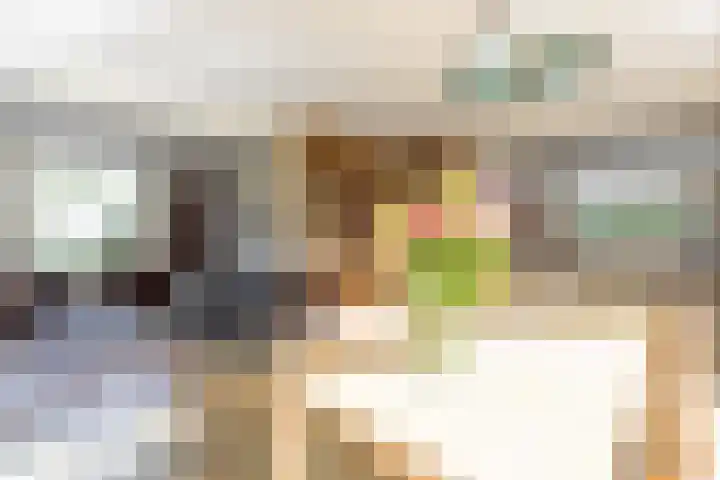 Catharinastraat 11 Helvoirt thumbnail 5