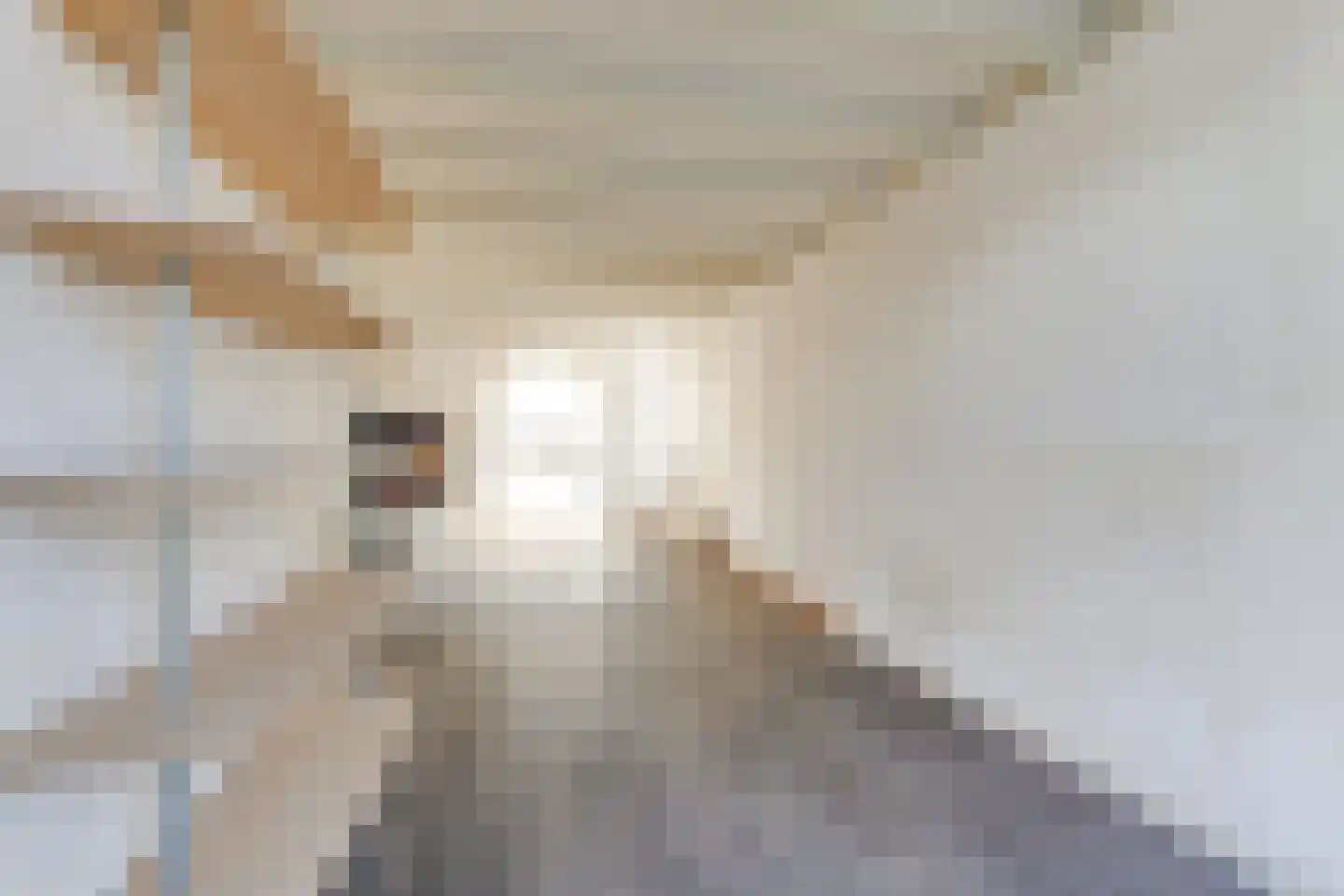 Catharinastraat 12 Leiden thumbnail 6