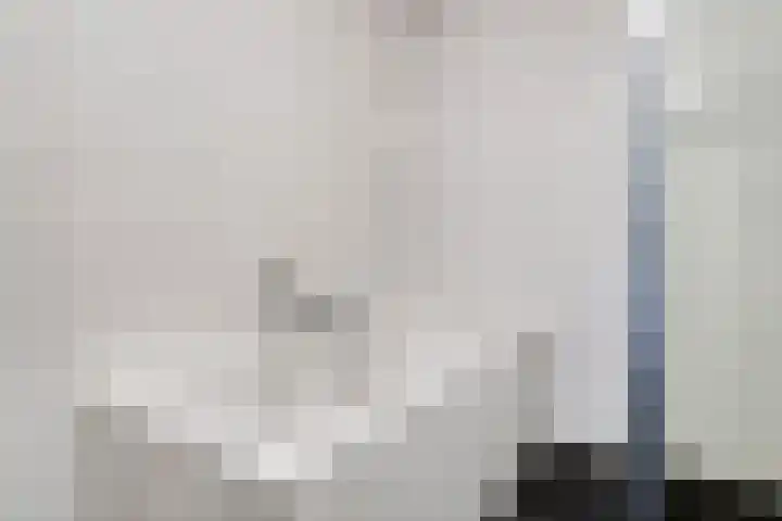Catharinastraat 17 C Breda thumbnail 29