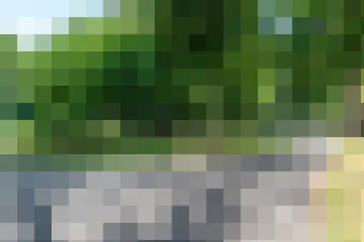 Catharinastraat 17 C Breda thumbnail 37