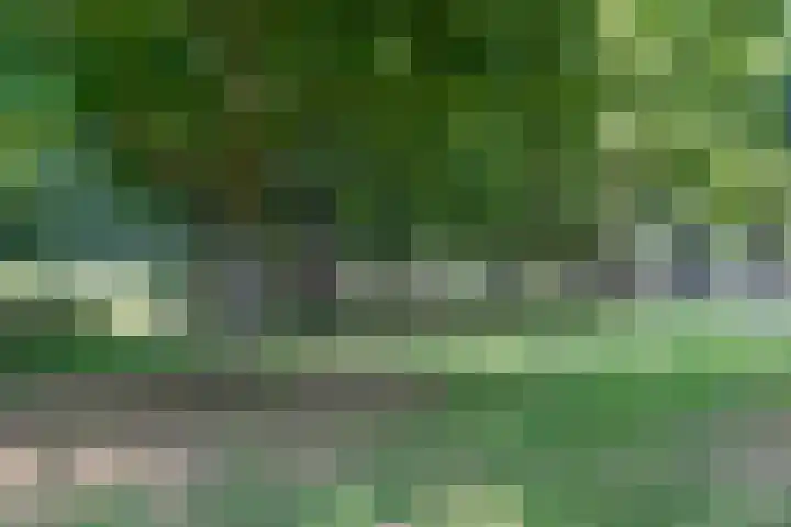 Catharinastraat 17 C Breda thumbnail 38
