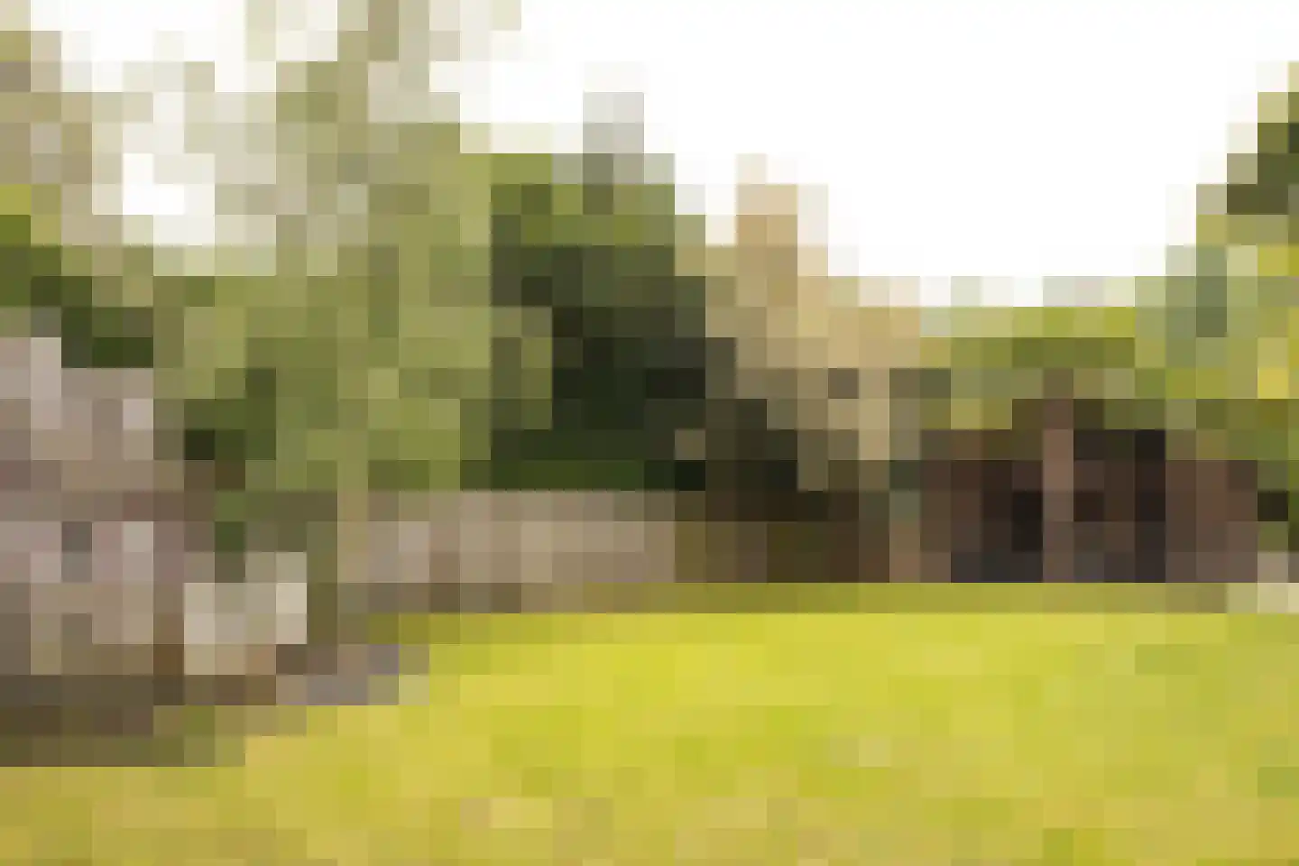 Catharinastraat 19 Eijsden thumbnail 7