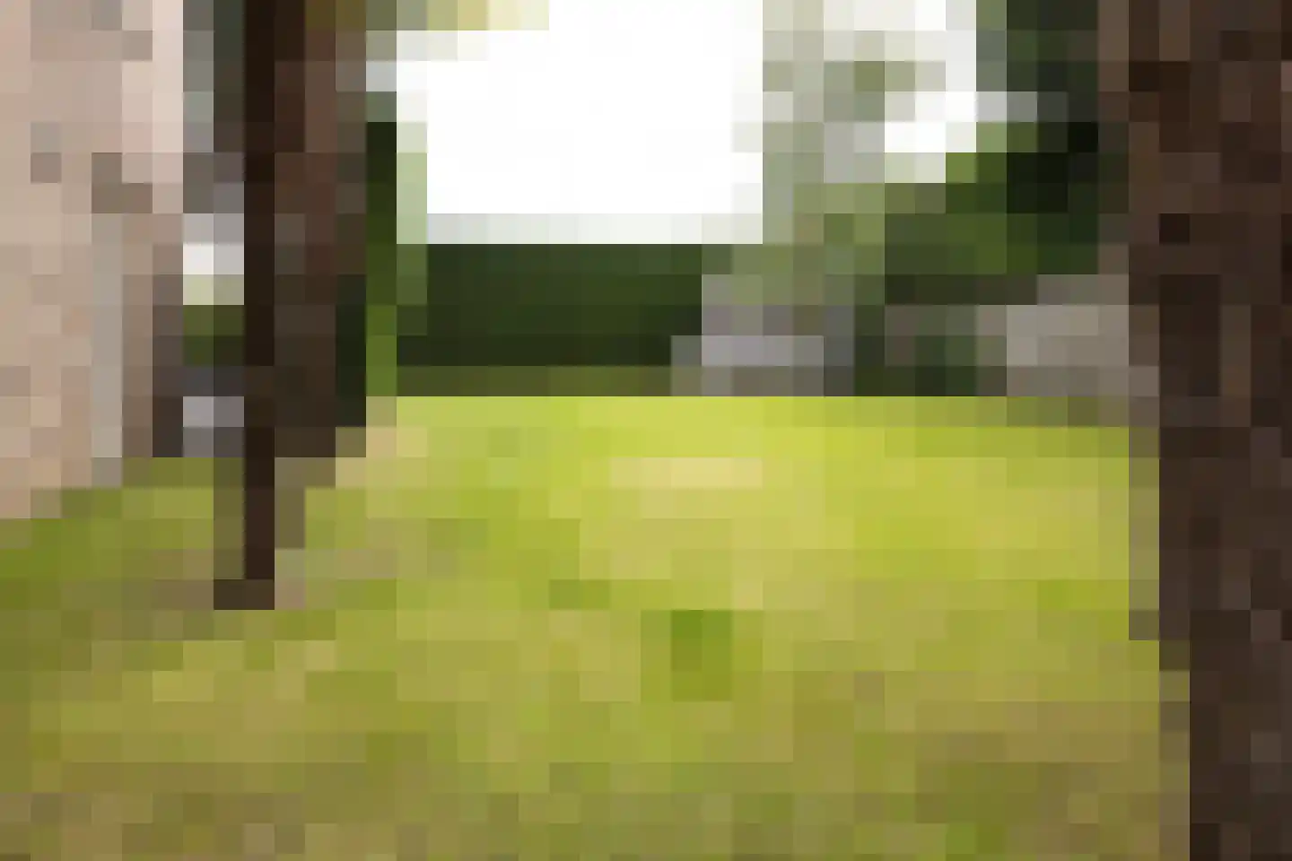 Catharinastraat 19 Eijsden thumbnail 8