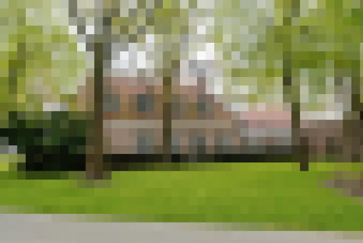 Catharinastraat 21 F Breda thumbnail 5