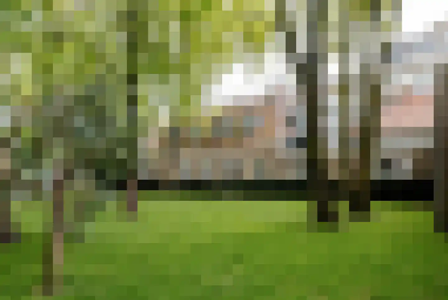 Catharinastraat 21 F Breda thumbnail 6