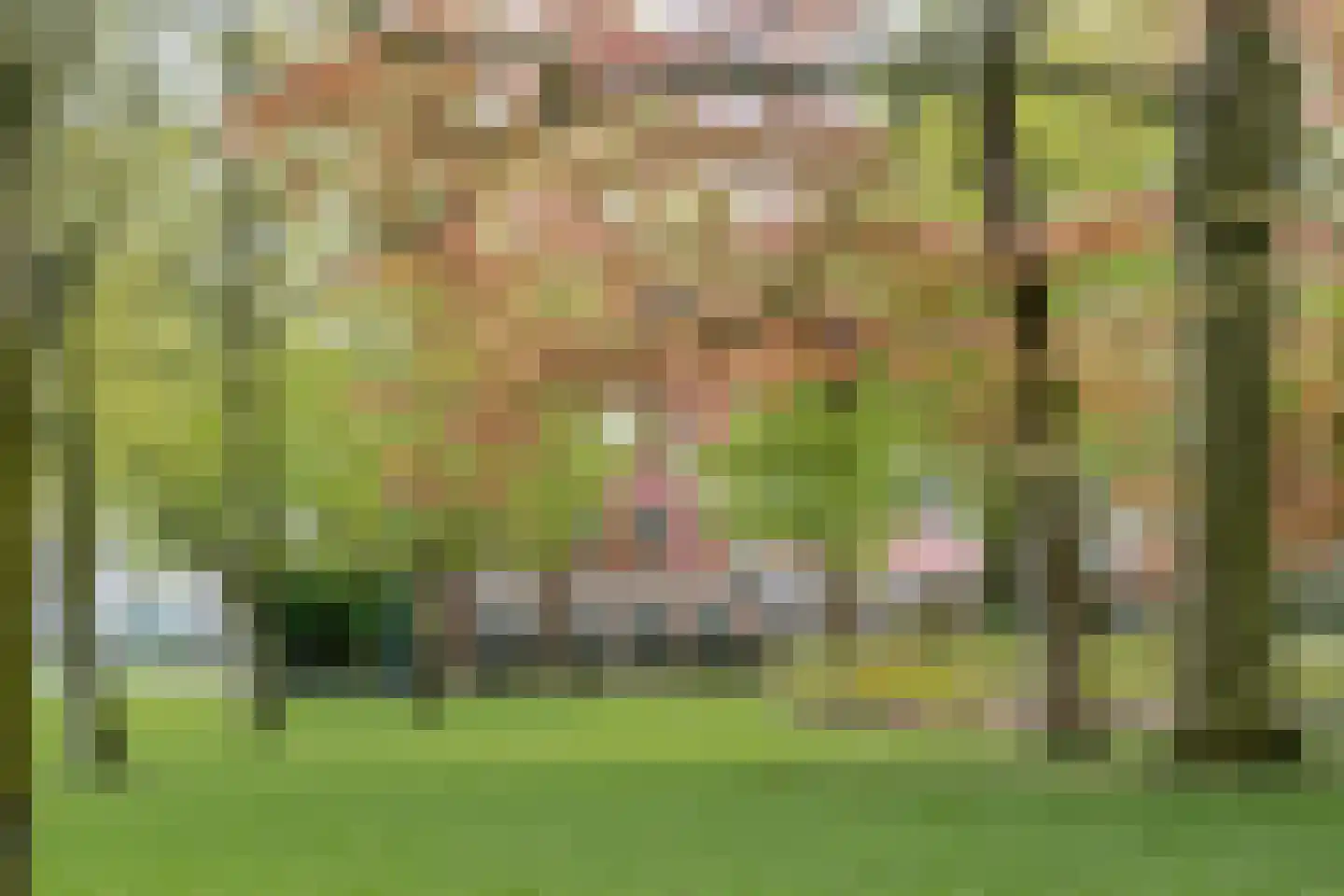 Catharinastraat 21 F Breda thumbnail 7
