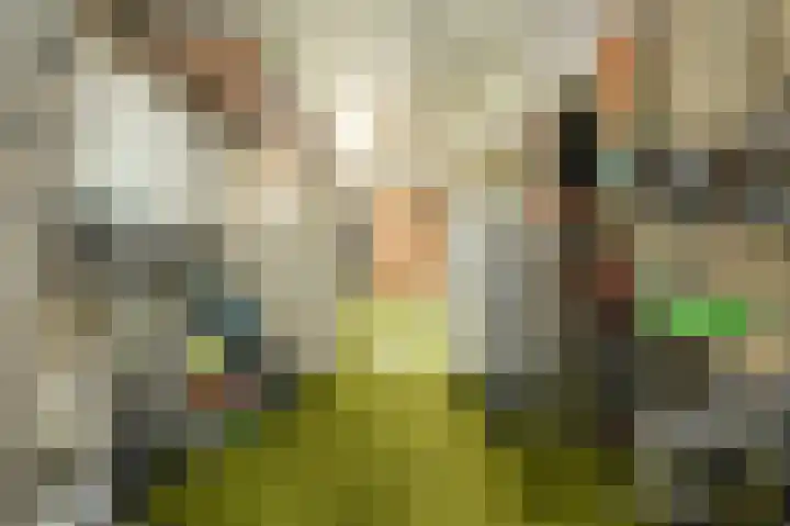 Catharinastraat 23 Oosterhout thumbnail 21