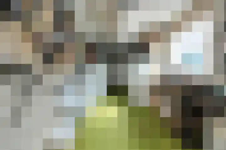 Catharinastraat 23 Oosterhout thumbnail 22