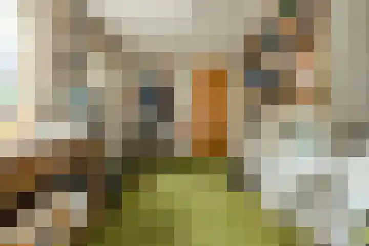 Catharinastraat 23 Oosterhout thumbnail 23