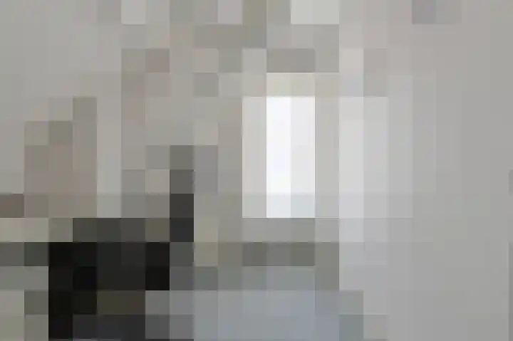 Catharinastraat 23 Oosterhout thumbnail 32