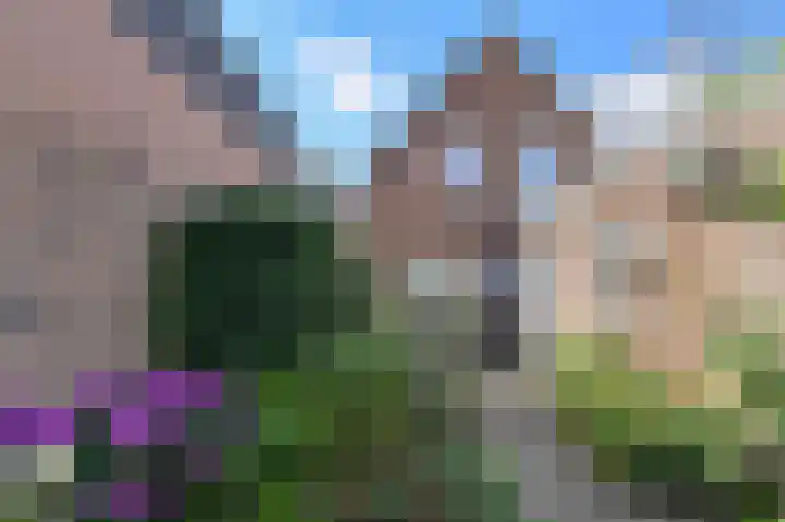 Catharinastraat 23 Oosterhout thumbnail 35