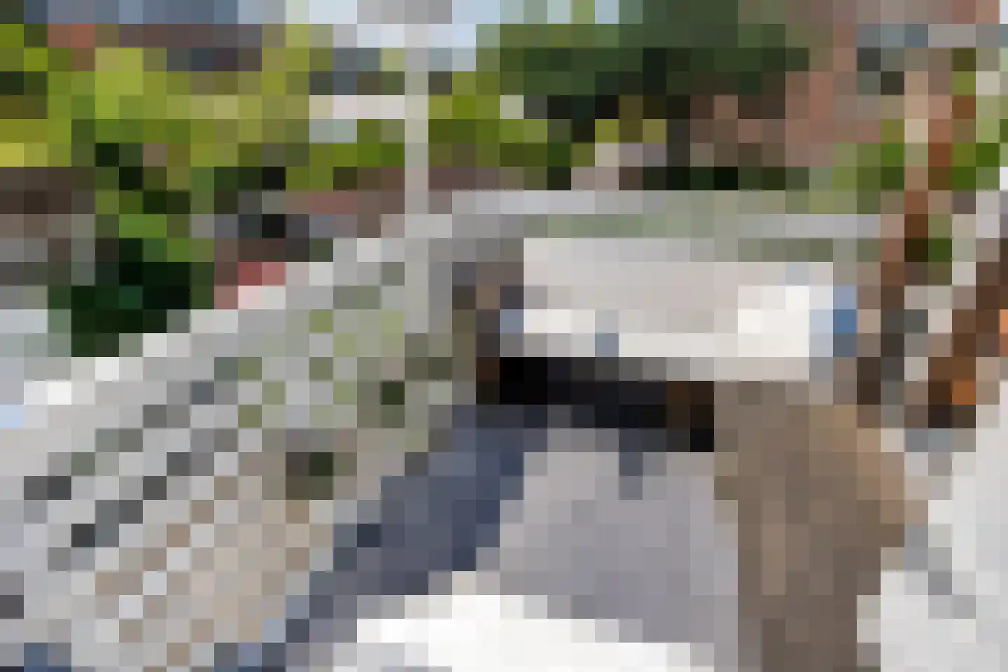 Catharinastraat 3 Leiden thumbnail 16