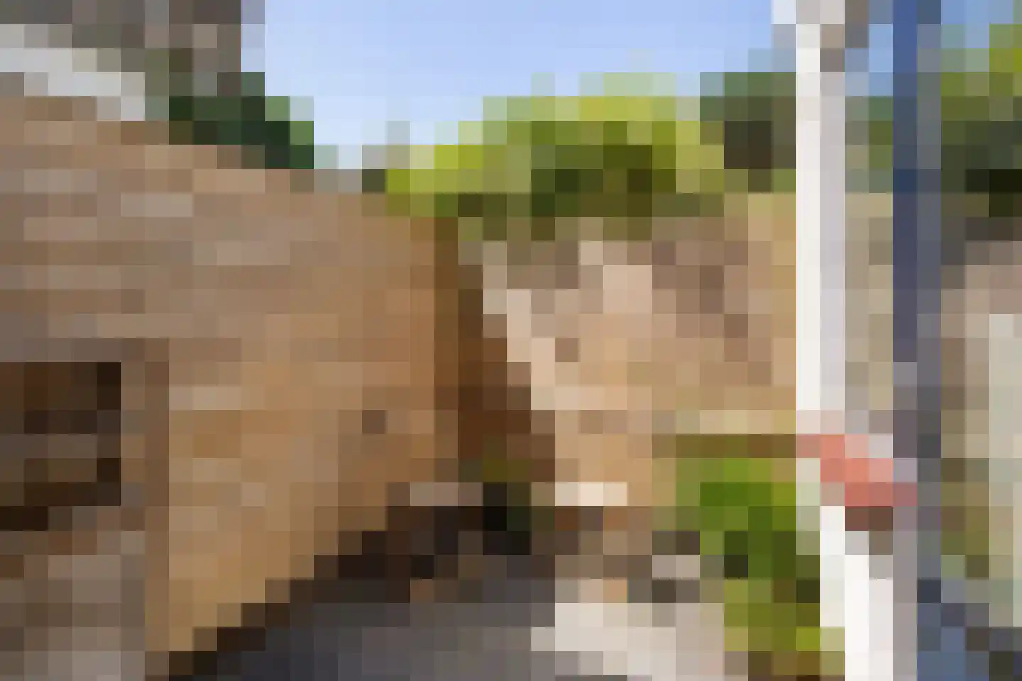 Catharinastraat 3 Leiden thumbnail 17