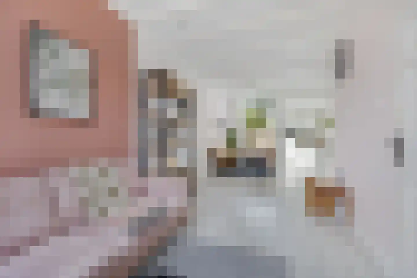 Catharinastraat 3 Leiden thumbnail 6