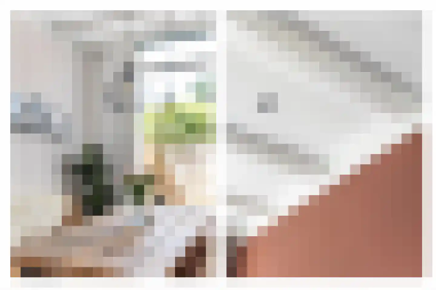 Catharinastraat 3 Leiden thumbnail 7