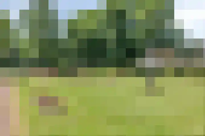Catharinastraat 39 Meppel thumbnail 27