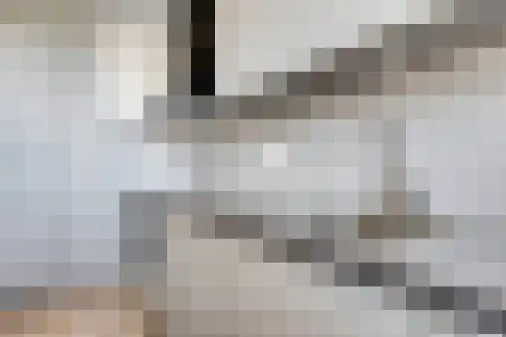 Catharinastraat 39 Meppel thumbnail 9