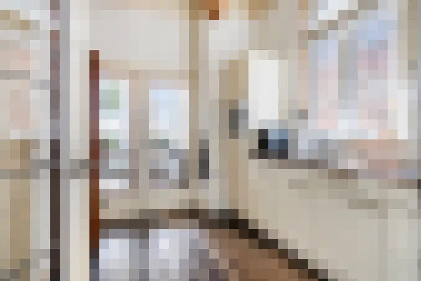 Catharinastraat 46 Meppel thumbnail 17
