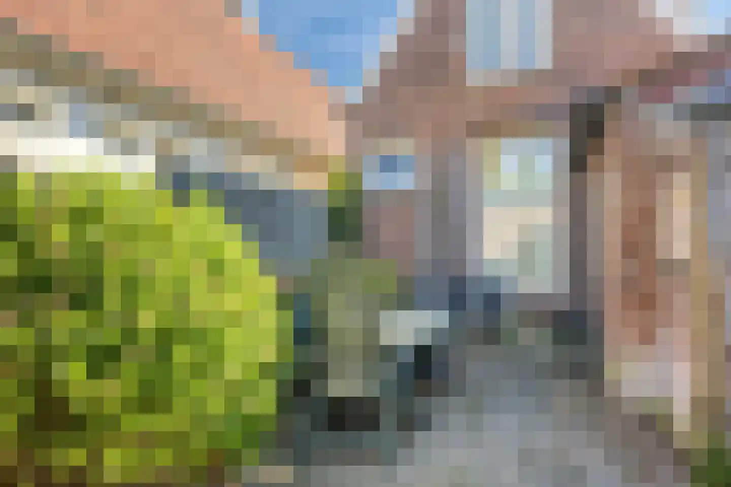 Catharinastraat 46 Meppel thumbnail 36