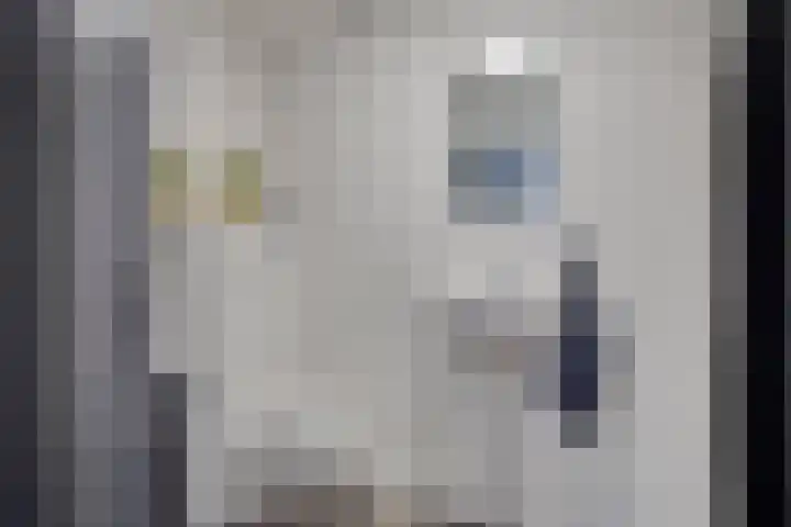Catharinastraat 56 B Meppel thumbnail 30