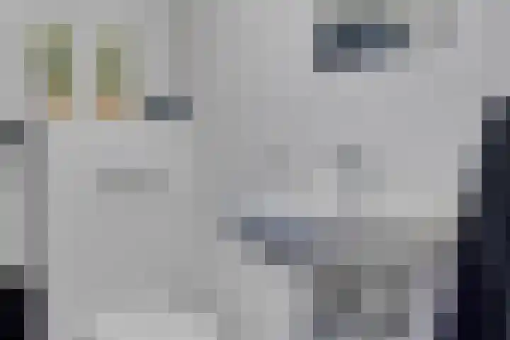 Catharinastraat 56 B Meppel thumbnail 32