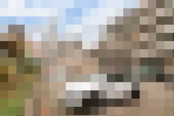 Catharinastraat 6 B Breda thumbnail 26
