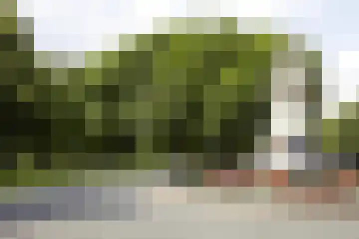 Catharinastraat 6 B Breda thumbnail 37
