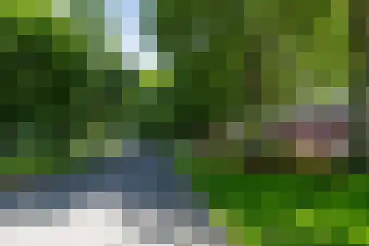 Catharinastraat 6 B Breda thumbnail 38