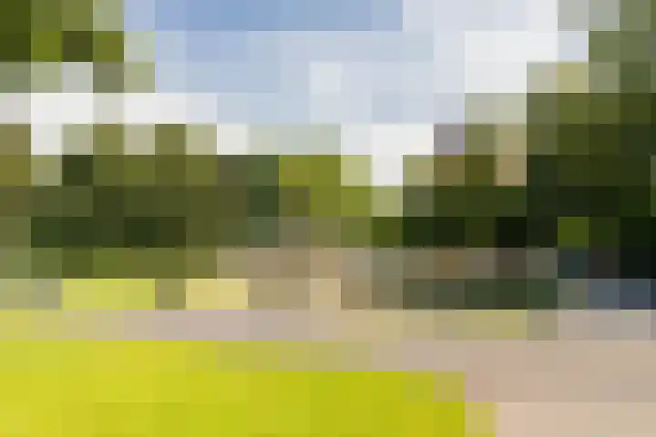 Catharinastraat 6 B Breda thumbnail 39