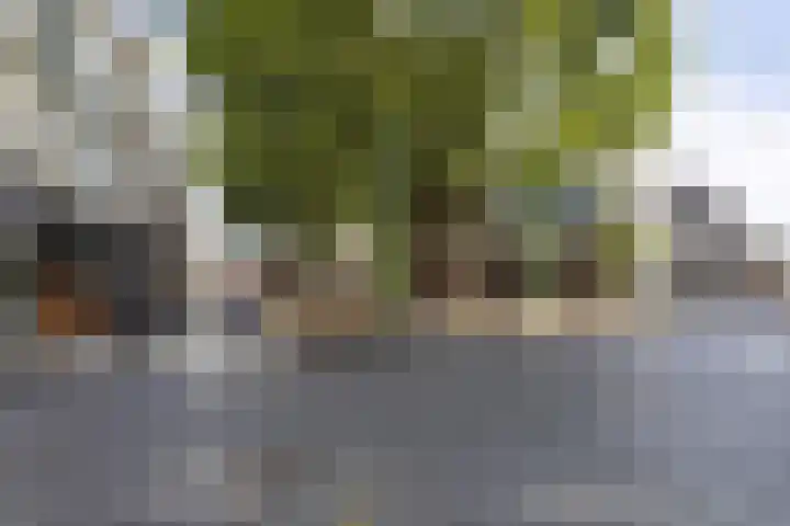 Catharinastraat 6 B Breda thumbnail 42