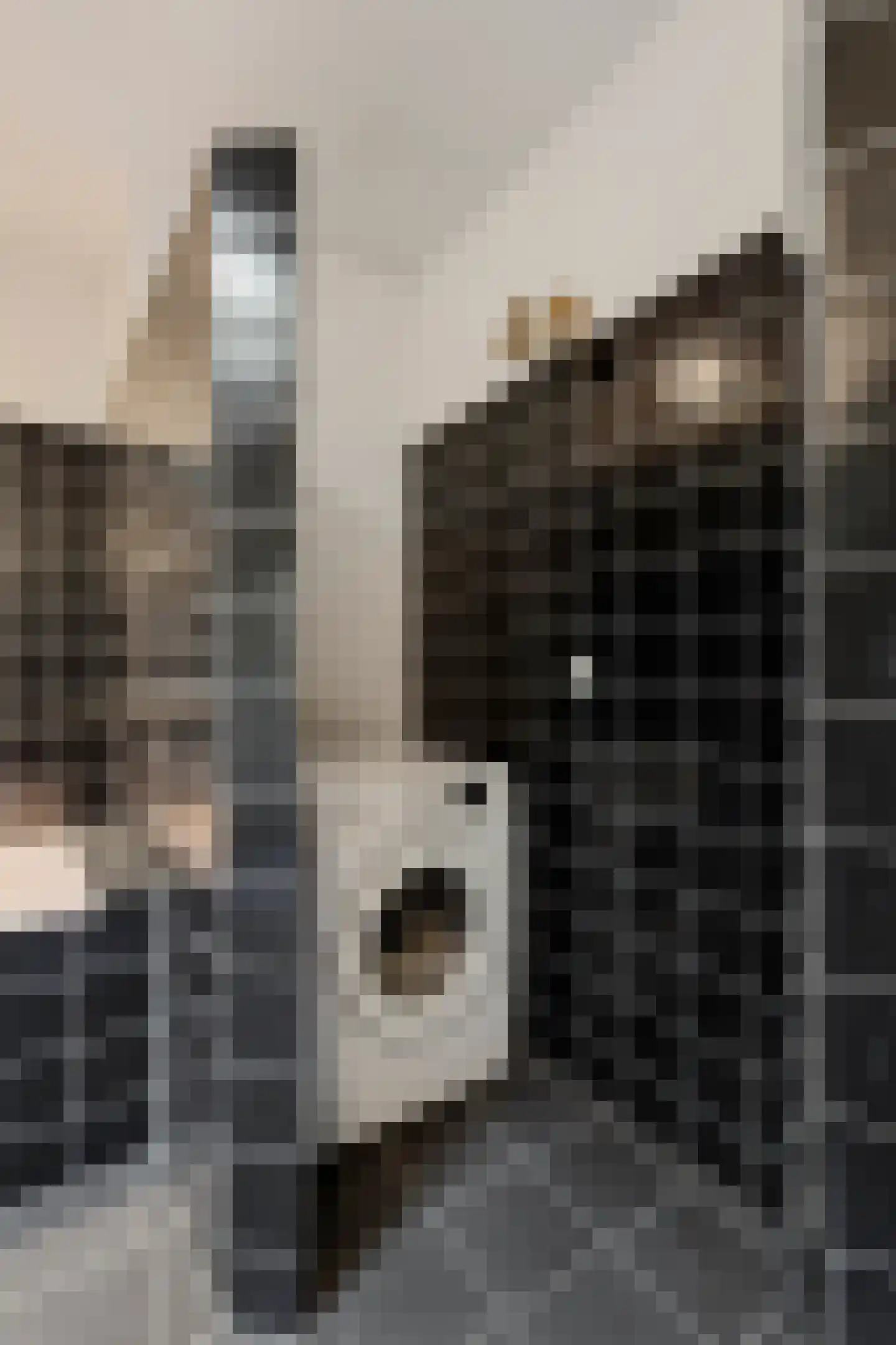 Catharinastraat 6 G Breda thumbnail 31