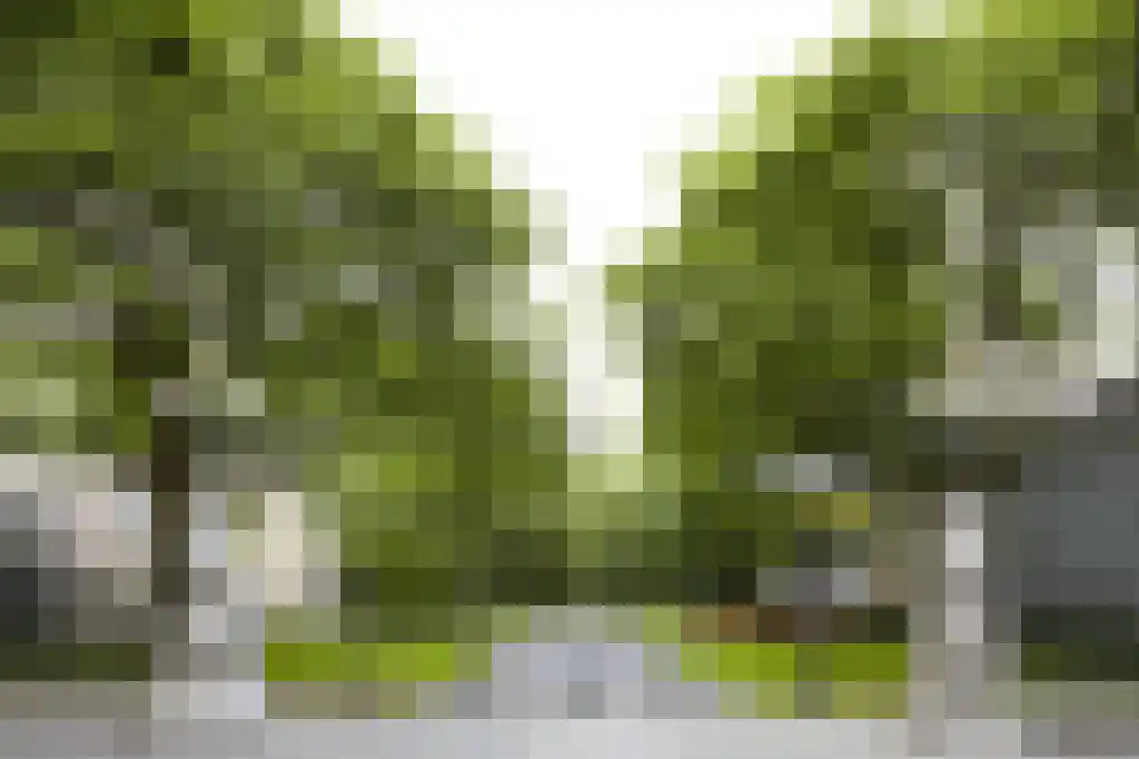 Catharinastraat 6 G Breda thumbnail 43