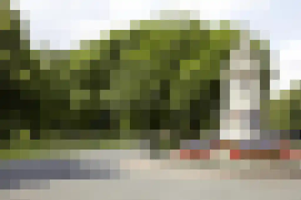 Catharinastraat 6 G Breda thumbnail 45