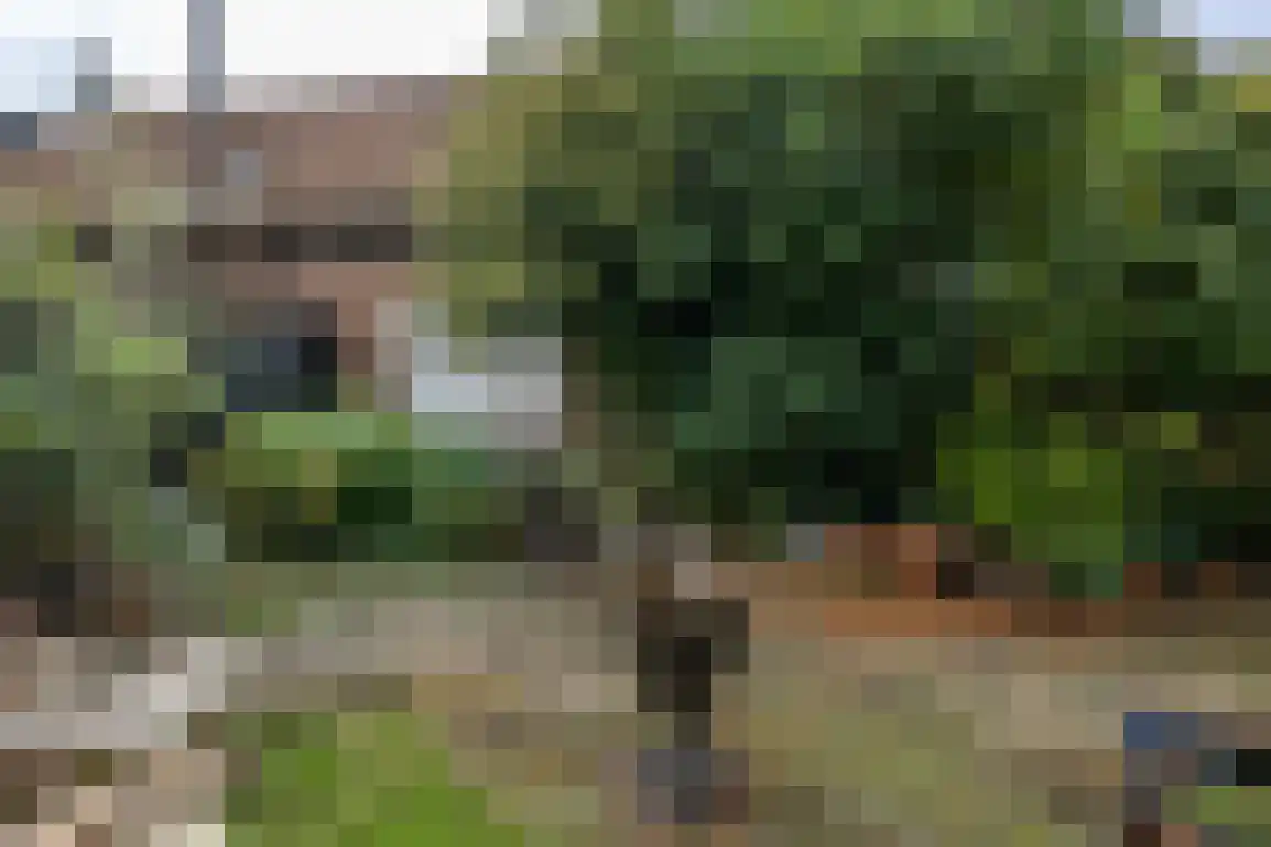 Catharinastraat 6 Goedereede thumbnail 36