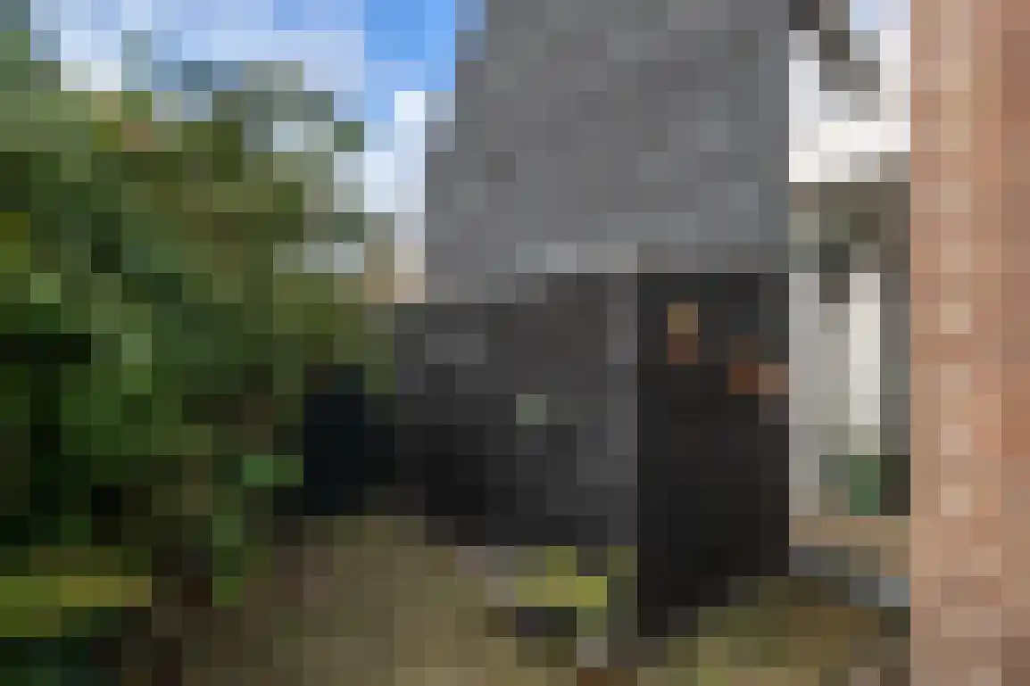Catharinastraat 6 Goedereede thumbnail 39