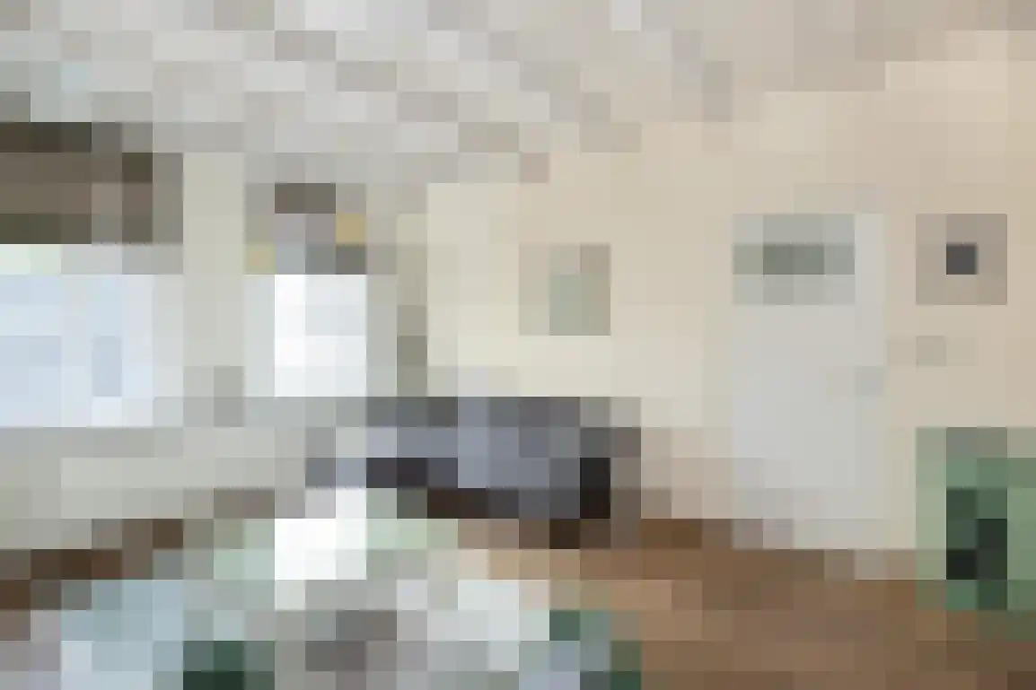 Catharinastraat 6 Goedereede thumbnail 8