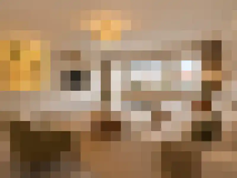 Catharinastraat 8 Breda thumbnail 8