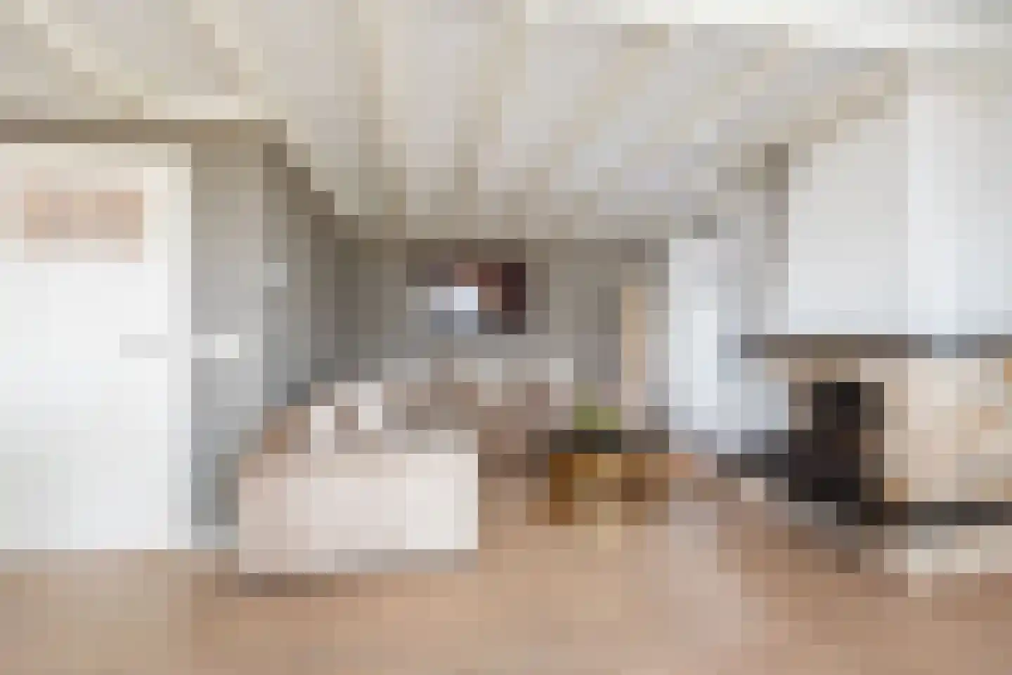 Catharinastraat 9 Wehl thumbnail 11