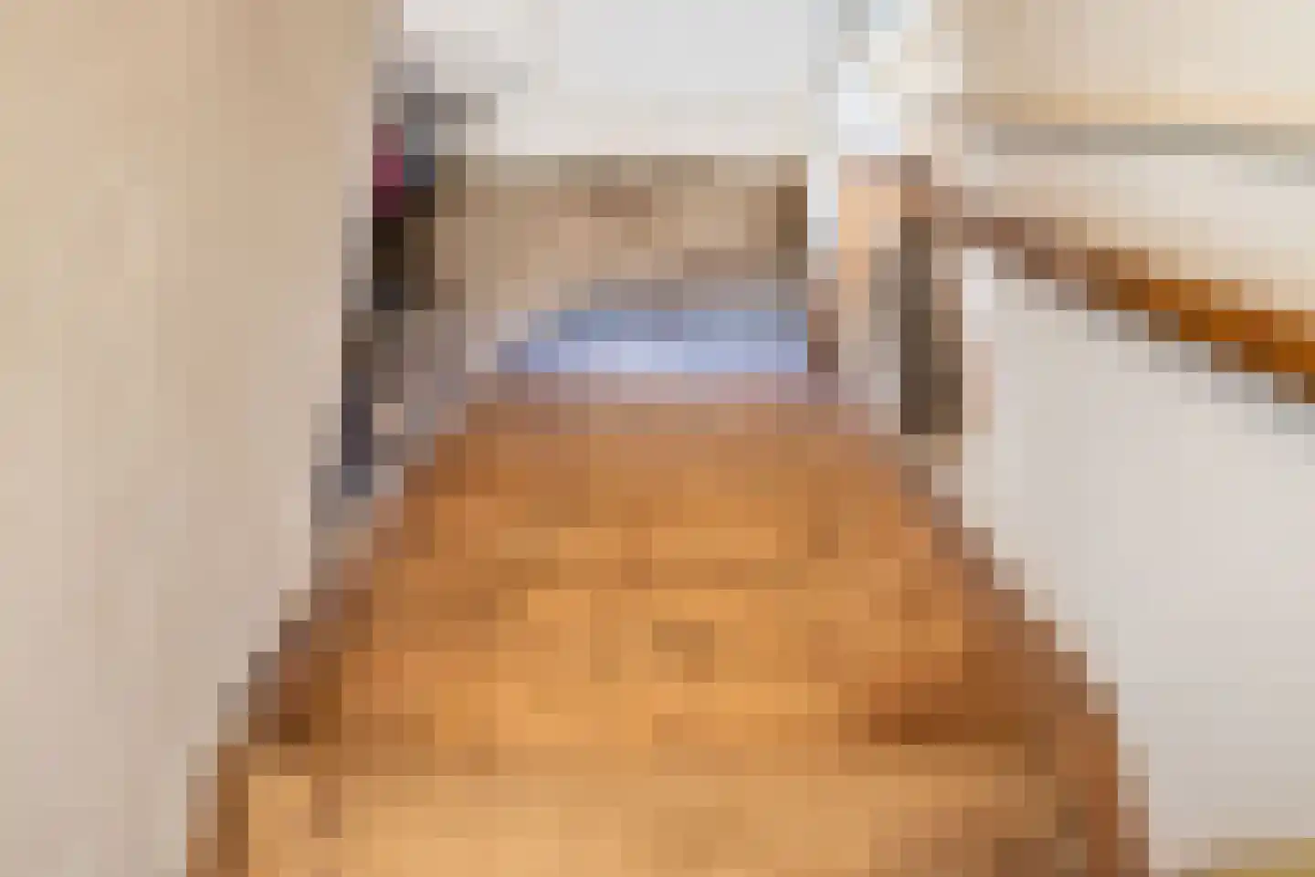 Catharinastraat 9 Wehl thumbnail 26
