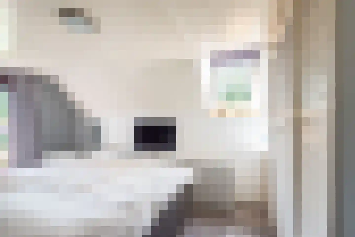 Catharinastraat 9 Wehl thumbnail 29