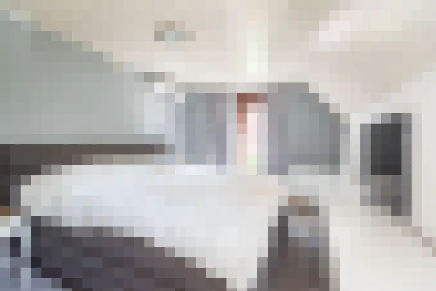 Catharinastraat 9 Wehl thumbnail 30