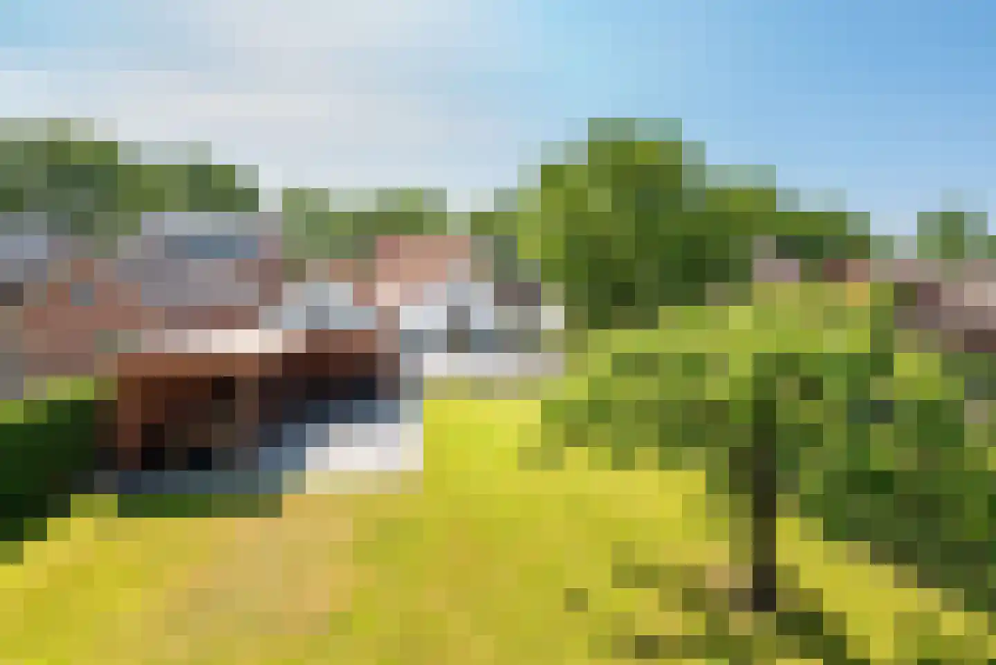 Catharinastraat 9 Wehl thumbnail 36