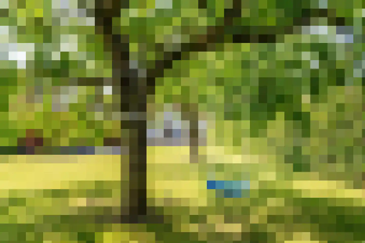 Catharinastraat 9 Wehl thumbnail 37