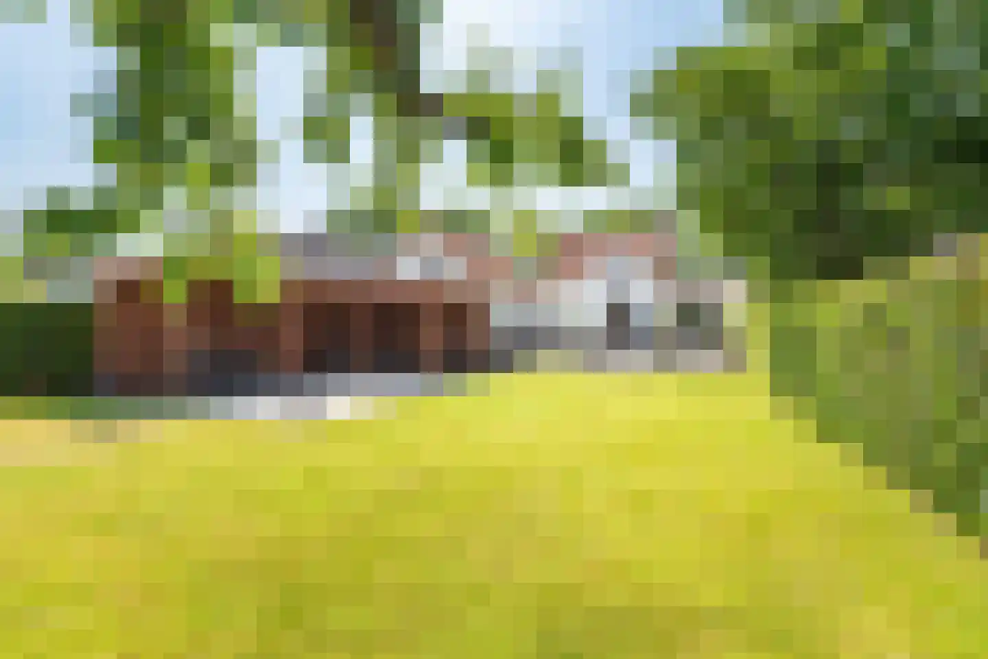 Catharinastraat 9 Wehl thumbnail 4