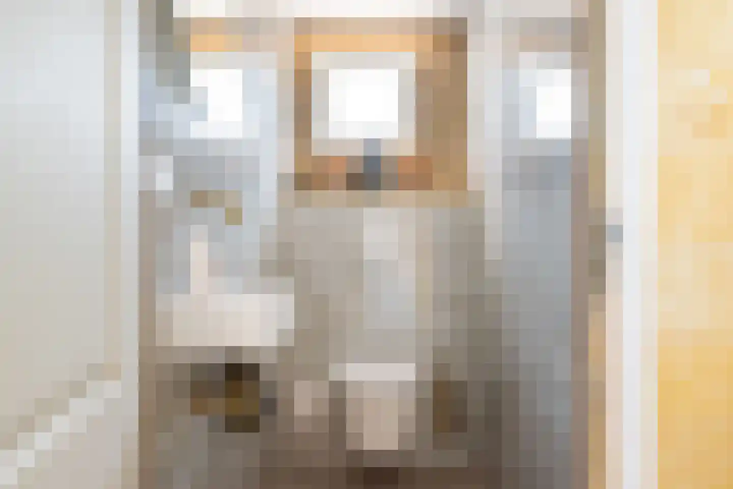 Catharinastraat 9 Wehl thumbnail 9